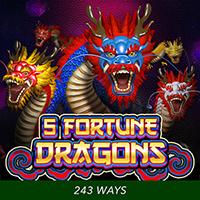 5 FORTUNE DRAGONS