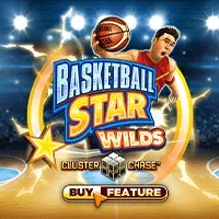 BASKETBALL STAR WILDS